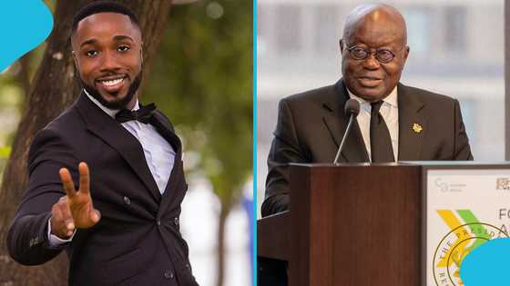 Harold Amenyah hails Akufo-Addo, calls him 'Man of the Year', explains why