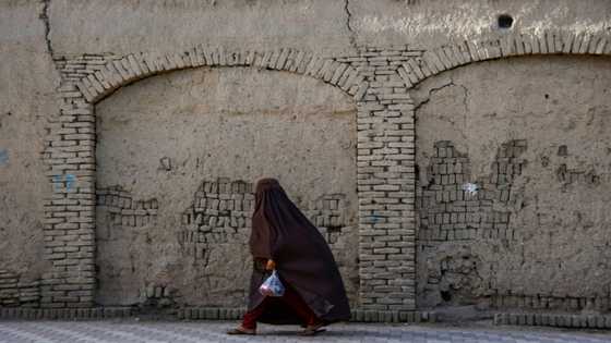 UN accuses Taliban of harassing female staff in Afghanistan
