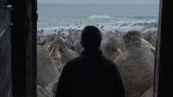 Oscar short docs race showcases booming art form