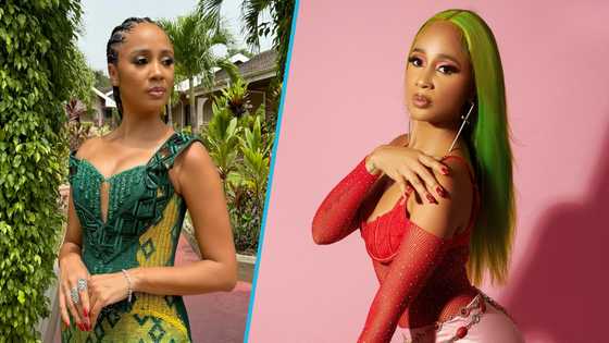 Sister Deborah ironically says passage of the anti-LGBTQ bill will fix Ghana's problems, lists them in post