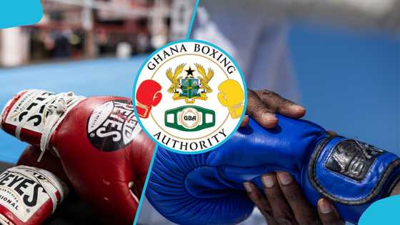 Top Nigerian boxing official slams GBA: "We’re not at war, but we blame them"