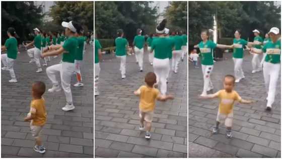 Toddler performs complex dance moves with adult choreography group in powerful video