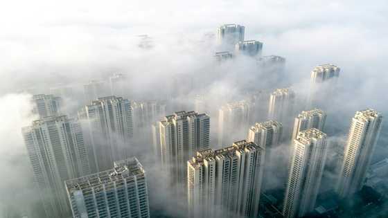 Shanghai, Hong Kong rally on China stimulus hopes, Asian markets mixed