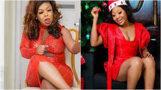New beef alert: Akuapem Poloo gives wild reply as Afia Schwar insults her mother in leaked audio