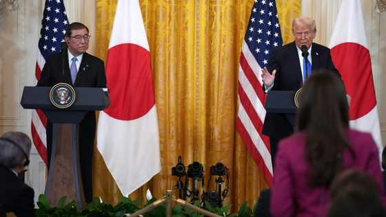 Japan PM says Trump's tariff views hard to understand