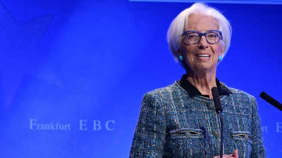 Europe increasingly 'vulnerable' to shocks: ECB chief