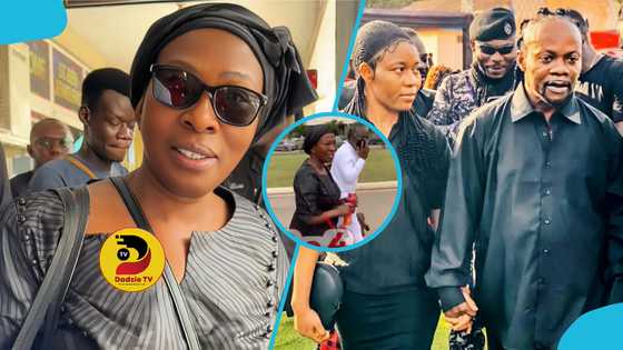 Akosua Serwaa stirs controversy online after appearance at Adum High Court, video trends