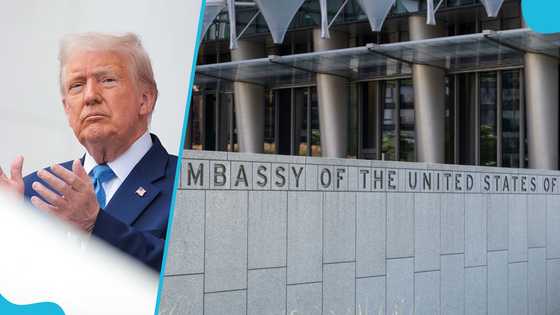 Trump government halts student US visa appointments