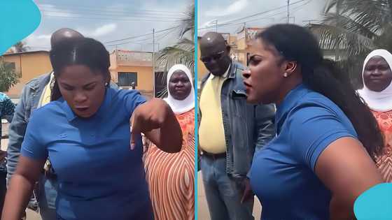 Ebi Bright clashes with private developer over project on state land, video emerges