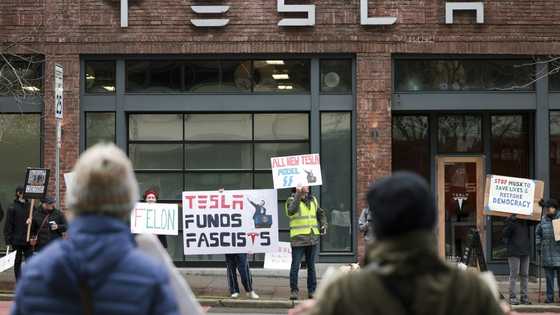 Tesla owners sour on Musk's venture into US politics
