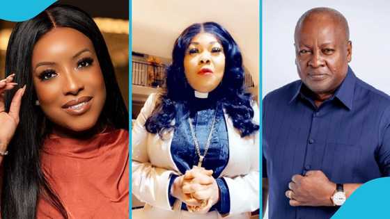 Agradaa weighs in on Joselyn Dumas's appointment, asks Ghanaians to shut up