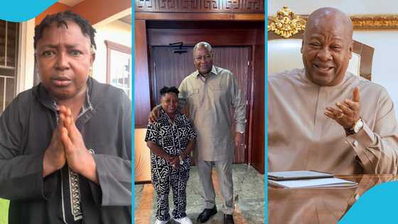 Wayoosi begs John Mahama to run for president in 2028: "The country is crying for you"