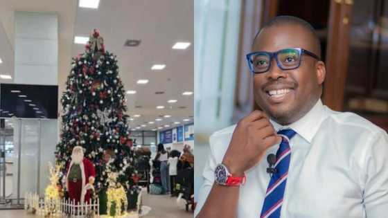 Beautiful Christmas trees at airport cost GHC34k not GHC84k - Paul Adom Otchere