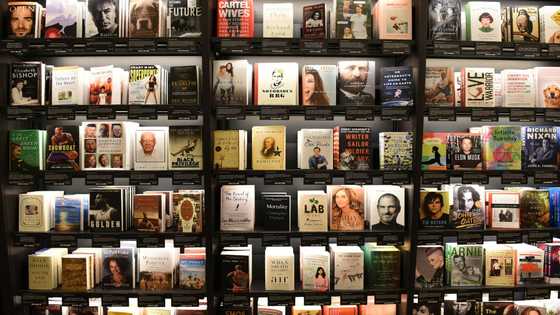 US publishing mega-merger blocked by federal judge