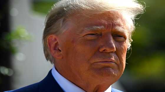 'I'M BACK': Trump returns to Facebook, YouTube after ban lifted