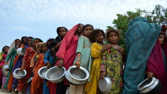 Climate-fueled hunger more than doubles in worst-hit countries: report