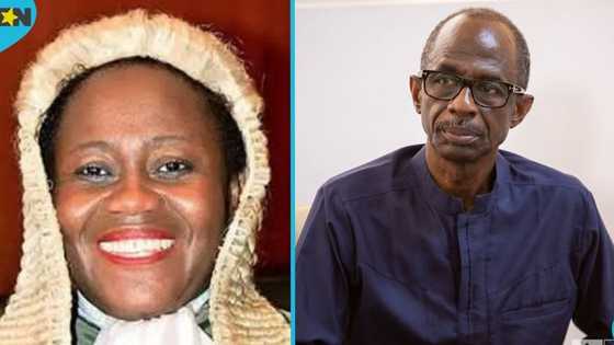 "You're courting public sympathy you don't deserve": Asiedu Nketia slams Gertrude Torkornoo
