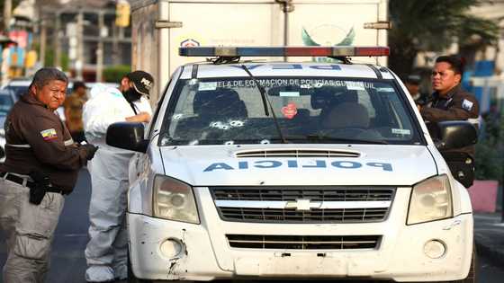 Troops deployed in Ecuador after spate of organized crime attacks