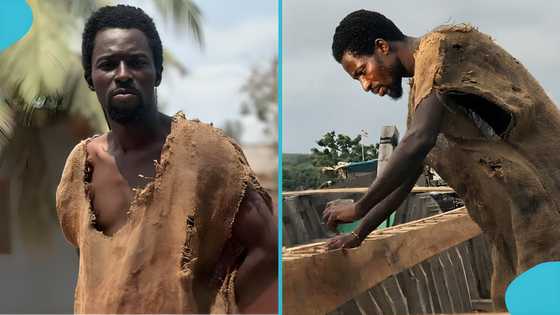 Ebo Noah shows current progress of his arks, video of the interior evokes joy