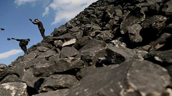 Fossil fuel reserves contain 3.5 tn tonnes of CO2: database