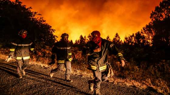 France gets help from EU neighbours as wildfires rage