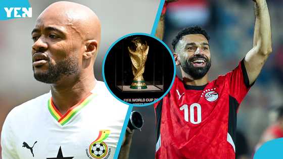Full list of all 9 African countries that have qualified for the 2026 World Cup