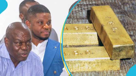 GoldBod annuls all existing gold trading licenses for small-scale miners