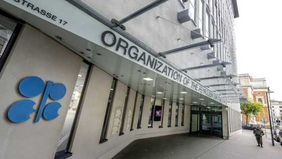 Opec+ likely to maintain oil output levels
