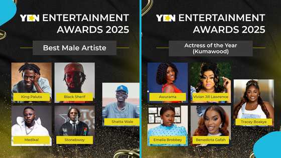 Here is how fans can vote for Shatta Wale, Stonebwoy, McBrown and others to win in the 2025 YEN Awards