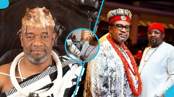 Igbo King visits Ga Mantse in resurfaced video after the Ga Traditional Council denied any knowledge of him
