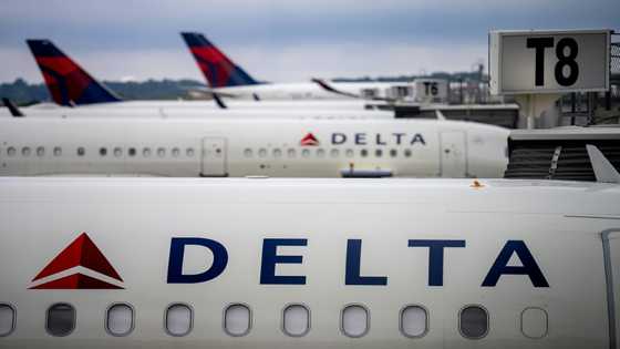 Delta profits drop despite solid demand, hitting airline shares