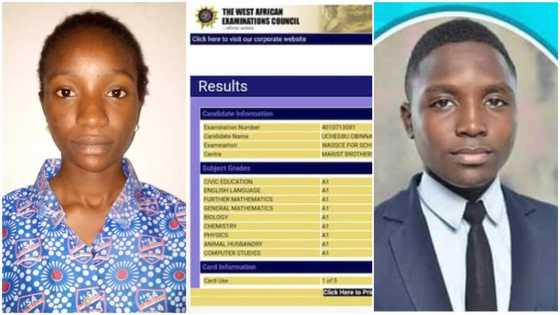 WAEC: 4 people who cleared their papers in flying colours with A's, photos show amazing results