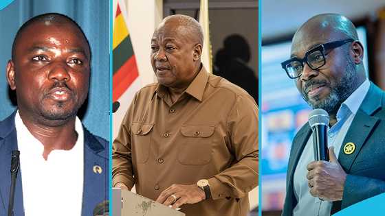 President Mahama appoints Prof Lord Mensah and Prof Seidu Alidu to top government positions