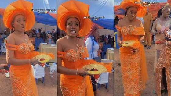 Unimpressed bride tackles DJ for playing wrong music at her wedding, video trends