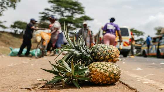 Del Monte guards in Kenya accused of beatings, rapes, killings