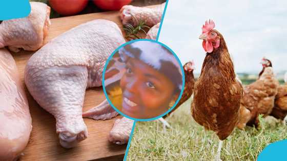 Ghanaian woman shares her experience living in Nigeria: "There's no cold store here"