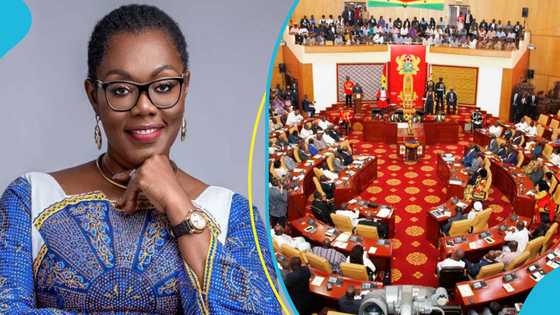 Ursula Owusu-Ekuful calls on women entrepreneurs to back women in politics