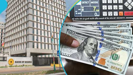 Bank of Ghana pumped $10 billion into forex market to aid cedi