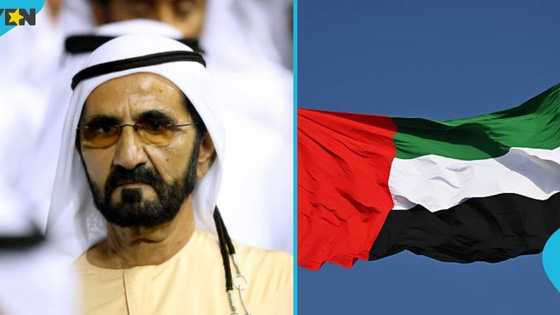 UAE lists 6 benefits foreigners with Blue Residency enjoy, gives details