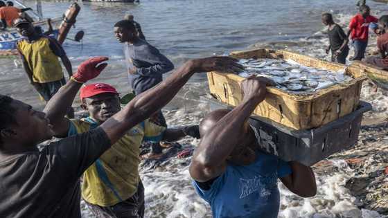 "Fish For Sex": Jomoro Girls Barter Sex For Fish To Fend For Themselves