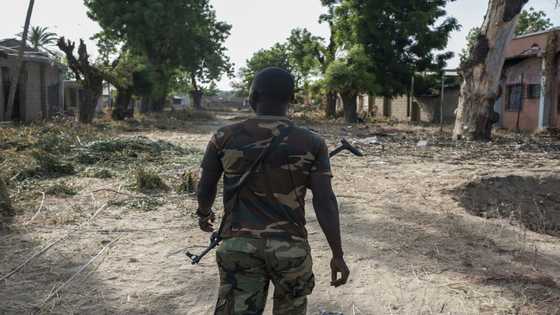 Hunger forces hard choices in Nigeria's conflict-hit northeast