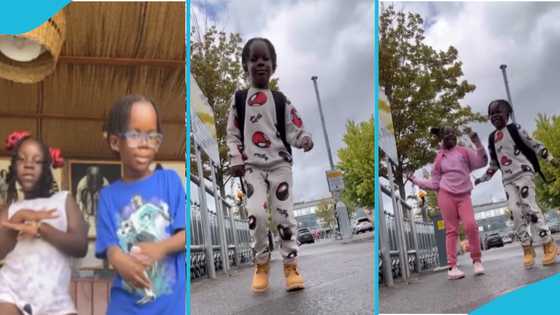 Stonebwoy's kids live good, travel from Ghana to abroad in video