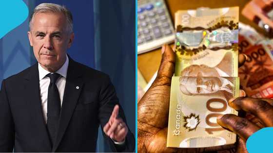 Canadian government opens vacancies for 12 federal jobs with details of heavy salary and requirements