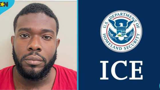 Gedeon Mawulolo Agbeyome: Togolese man with ties to Ghana pleads guilty to $5.7m fraud case in US