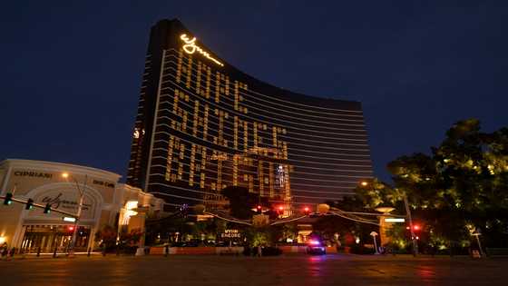 UAE establishes 'gaming' body in potential step towards casinos