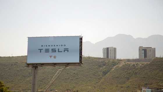 Tesla's arrival accelerates Mexico 'nearshoring' boom