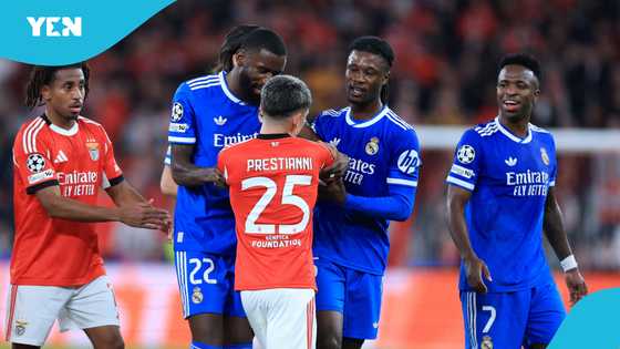 New twist: Benfica star alleges Vinicius called him “midget” during clash