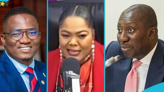 NDC MP chides Minority in Parliament over their penchant for walkouts: "You will soon go to Auntie Naa"
