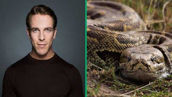 Young man discovers massive snake in car engine, shares TikTok video