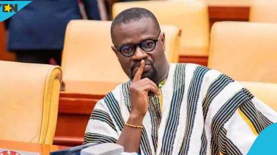 "Please forgive us": Annoh-Dompreh apologises over 2025 Appointments Committee clash
